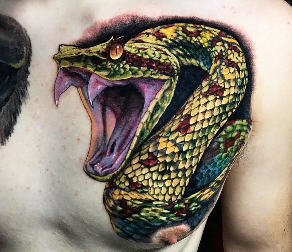 Viper head | Unique half sleeve tattoos, Traditional tattoo design,  Traditional tattoo art