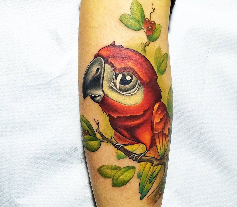 parrot Tattoos - Images, Designs, Inspiration - Inkably.co.uk