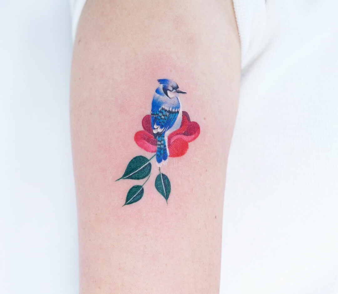 Obsessed with this one-shot blue jay! I have been having such a good time  tattooing birds lately. | Instagram