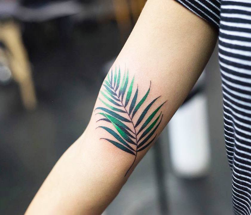 Fern leaf tattoo by Zihee Tattoo | Photo 26435