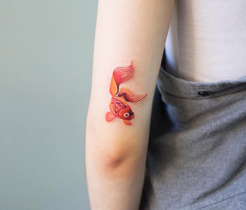 Minimalist Fish Tattoo Design – Tattoos Wizard Designs